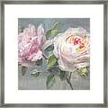 Lovely Roses Framed Print