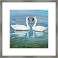 Loving Swan Framed Print