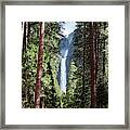 Lower Yosemite Fall And Forest, Yosemite Np, Usa Framed Print