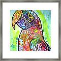 Macaw Framed Print