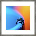 Macro Photography - Jumping Spider Framed Print