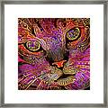 Maggie May The Magenta Tabby Cat Framed Print