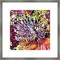 Magnificent Feather Duster Framed Print