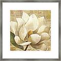 Magnolia Blossom On Script Framed Print