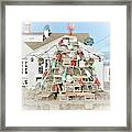 - Maine Christmas Tree, York Me Framed Print