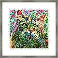 Maine Coon Cat In The Garden Framed Print
