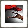 Male Ballet Dancer Dancing With A Red Framed Print