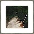 Male Golfer Hitting Out Of A Sand Trap Framed Print