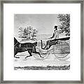 Man Driving Horse And Buggy In Summer Framed Print