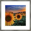 Marches, Morrovalle, Italy Framed Print