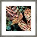 Mask Fairy Dust Framed Print