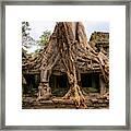 Massive Tree Roots At Preah Khan Temple Framed Print