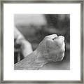 Max Schmelings Right Fist Framed Print