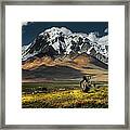 Meadow Field With Snow Mountain Framed Print