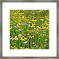 Meadow Flowers 1 Framed Print