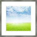 Meadow Framed Print