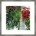 Merry Christmas From Florida Framed Print