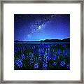 Midnight Blue Framed Print