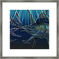 Midnight Madness Framed Print