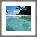 Milkfish In Sea, Tropical Beach And Framed Print