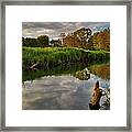 Mirror Water Framed Print