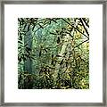 Misty Morning Light Framed Print