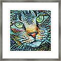 Moe The Colorful Tabby Cat Framed Print