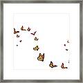 Monarch Butterflies In Motion Framed Print