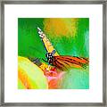 Monarch Butterfly Beautiful Smudge Framed Print