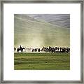 Mongolian Herder Rides Alongside Herd Framed Print