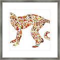 Monkey Framed Print