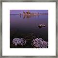 Mono Lake Framed Print