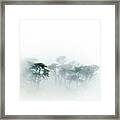 Monterey Cypress In The Fog Framed Print