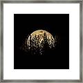 Moon And Pines Framed Print