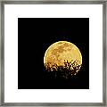Moon Rise Framed Print