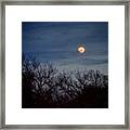 Moonrise And Trees Framed Print