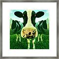 Mooo Framed Print