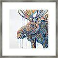 Moose Musings Framed Print