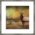 Morning Bugler Framed Print