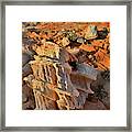 Morning Light On Beautiful Sandstone Form In Valley Of Fire Framed Print
