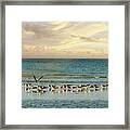 Morning On Lido Beach Framed Print