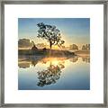 Morning Reflection Framed Print