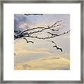 Morning Sky View Framed Print