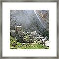 Morro Rock Cluster Framed Print