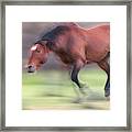 Motion Framed Print