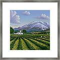 Mount Sta Helena - Napa Valley Framed Print
