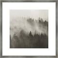 Mountain Forest In A Dense Morning Fog Framed Print