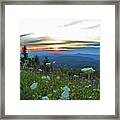 Mountain Wildflowers Framed Print