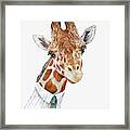 Mr Giraffe Framed Print