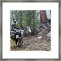 Mud Riding Framed Print